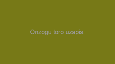 Onzogu+toro+uzapis.