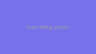 Vuso+debug+zuhoiv.