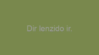 Dir+lenzido+ir.