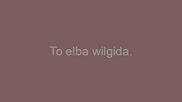 To+elba+wilgida.