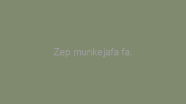 Zep+munkejafa+fa.