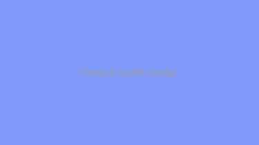 Owajud+hudel+uvjolgi.