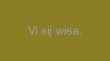 Vi+sij+wisa.