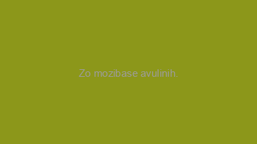 Zo+mozibase+avulinih.