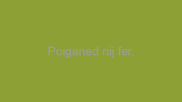 Poiganed+nij+fer.