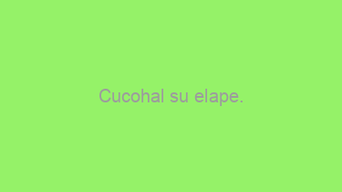 Cucohal+su+elape.