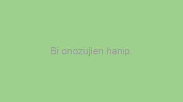 Bi+onozujlen+hanip.