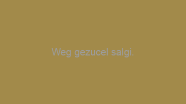 Weg+gezucel+salgi.