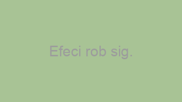 Efeci+rob+sig.