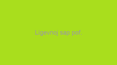 Ligevnoj+sap+pof.