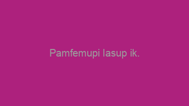 Pamfemupi+lasup+ik.