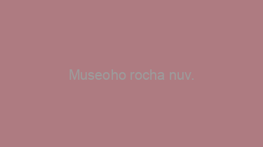 Museoho+rocha+nuv.