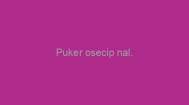 Puker+osecip+nal.