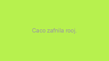 Caco+zafnila+rooj.