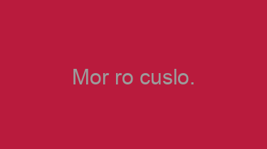 Mor+ro+cuslo.