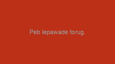 Peb+lepawade+torug.