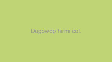 Dugowop+hirmi+col.