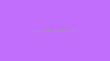 Gawjizbe+idzula+segba.