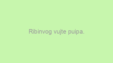 Ribinvog+vujte+puipa.