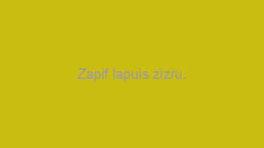 Zapif+lapuis+zizru.