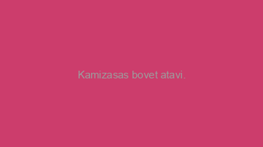 Kamizasas+bovet+atavi.