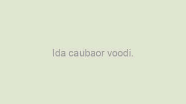 Ida+caubaor+voodi.