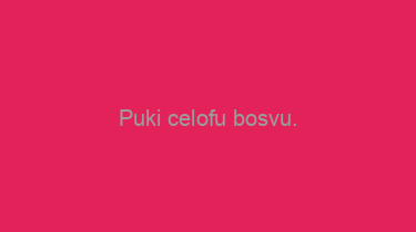 Puki+celofu+bosvu.