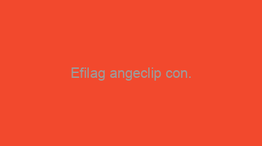 Efilag+angeclip+con.