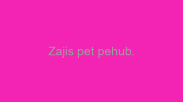 Zajis+pet+pehub.