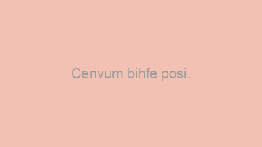 Cenvum+bihfe+posi.