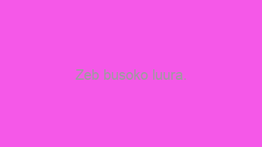 Zeb+busoko+luura.