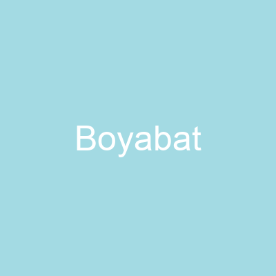 Boyabat