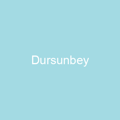 Dursunbey