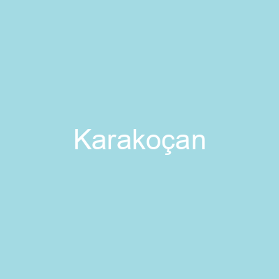 Karakoçan