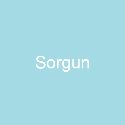 Sorgun