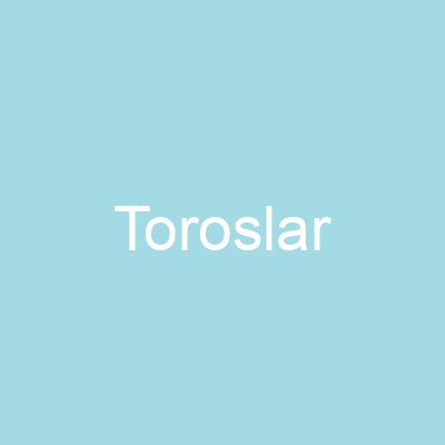 Toroslar