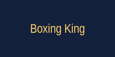 Boxing King