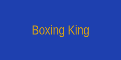 Boxing King