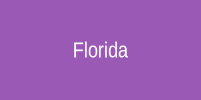 InsurTech Florida