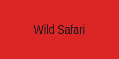 Wild Safari Slot