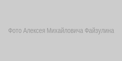 Алексей Михайлович Файзулин