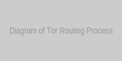 Tor Routing Process