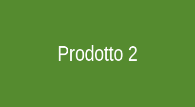 Prodotto 2