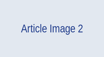 Article 2