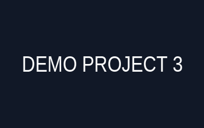 Demo Portfolio