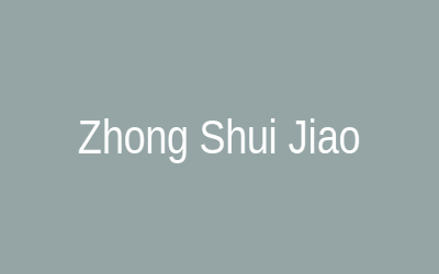 钟水饺图片