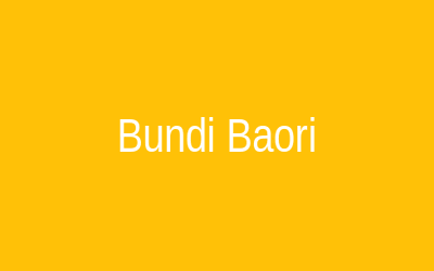 Bundi Stepwell