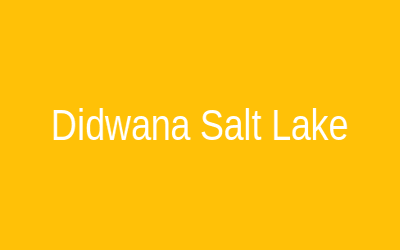 Didwana Lake