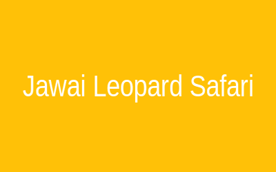 Jawai Leopard Safari