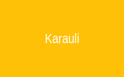 Karauli City